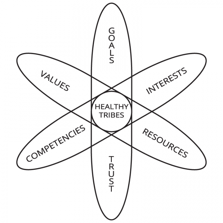 Venn Diagram of Healthy Tribes