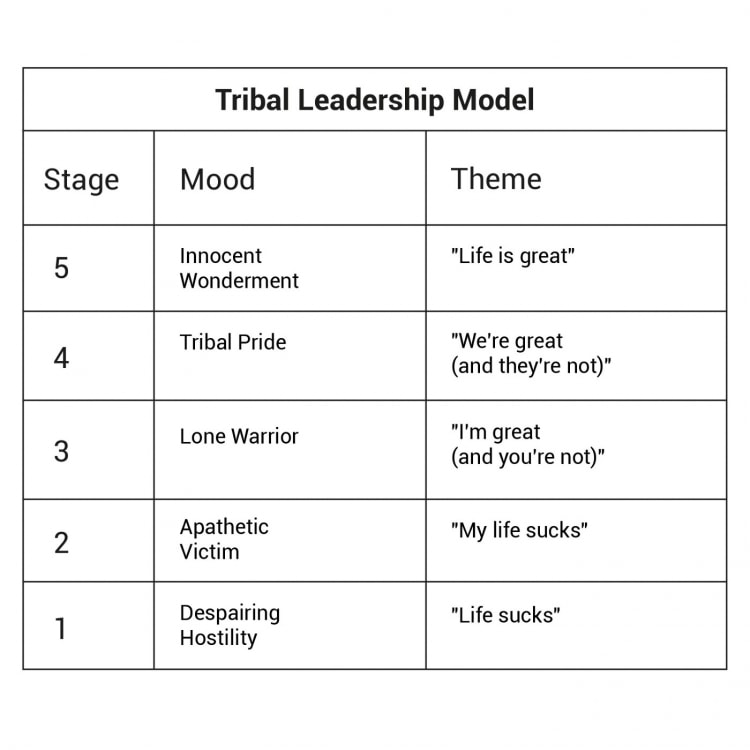 Tribal Leadership Model
